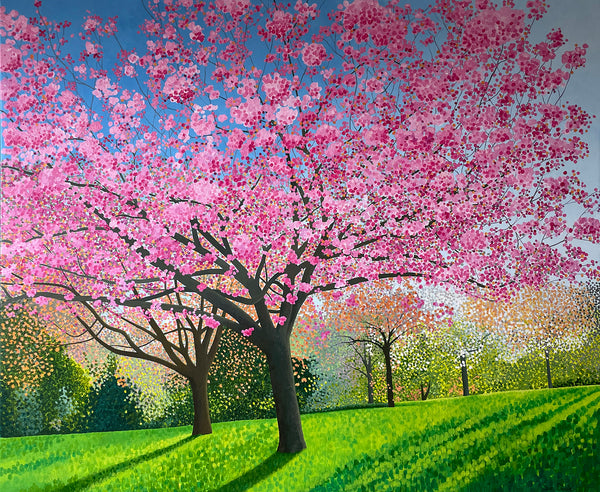 Blossom at the Arboretum limited edition print