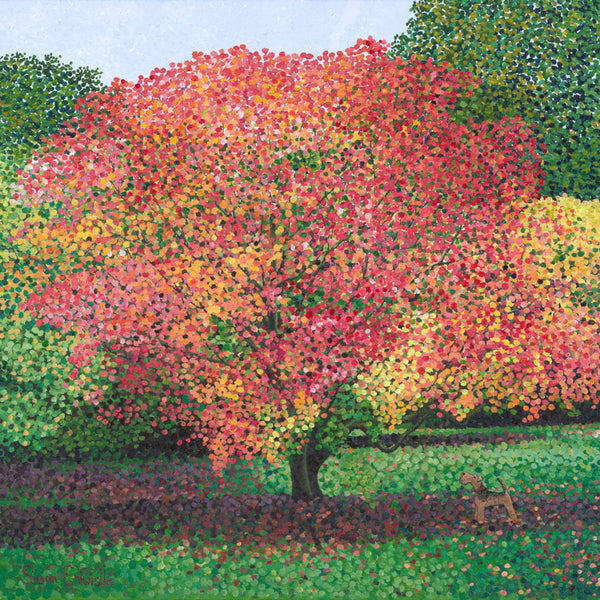 Acer Westonbirt limited edition print