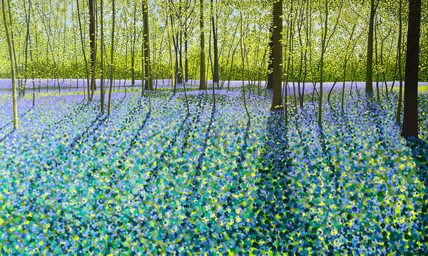 Bluebell Glade limited edition print