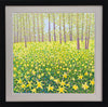 Woodland Daffodils Signed Edition Print