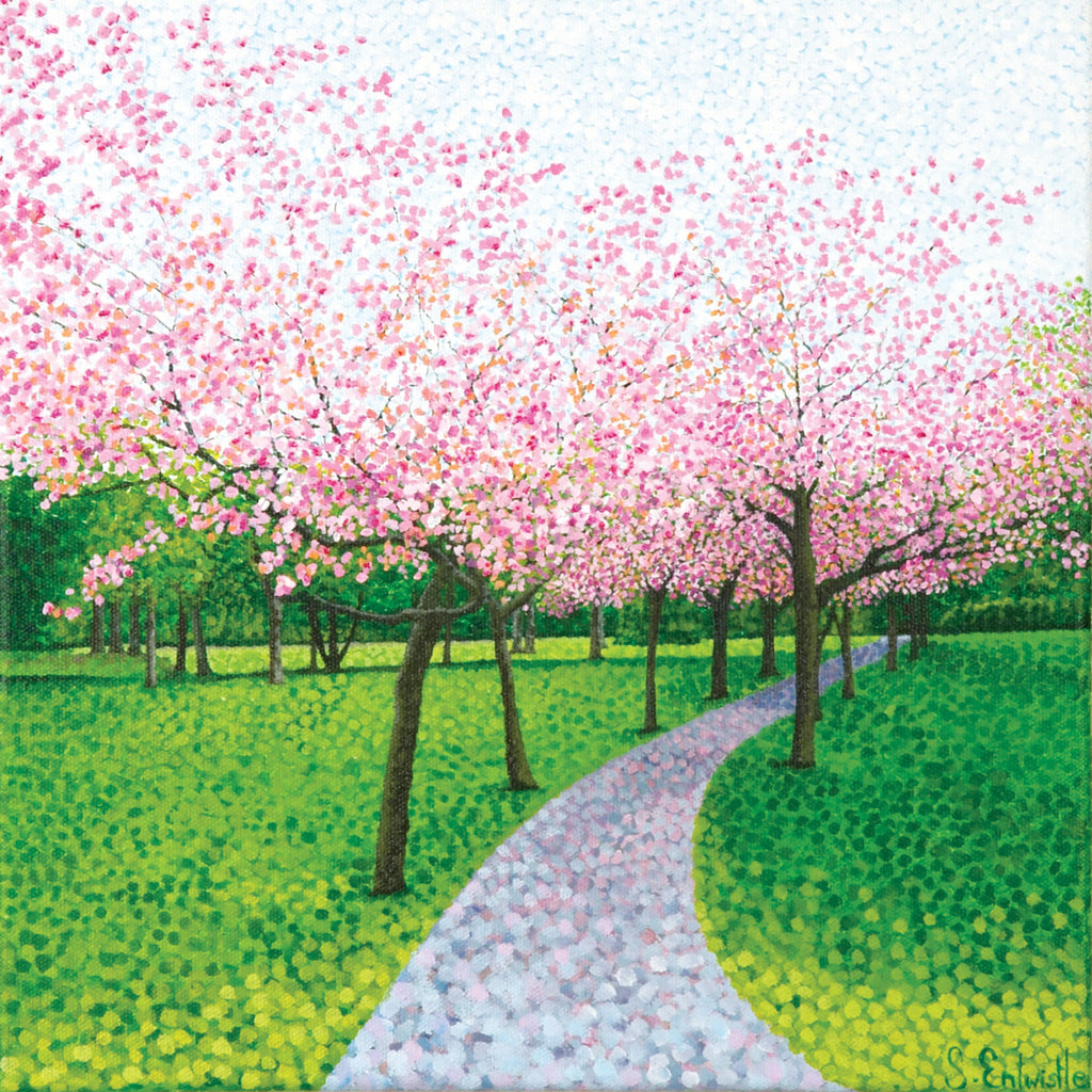 Cherry Blossom card
