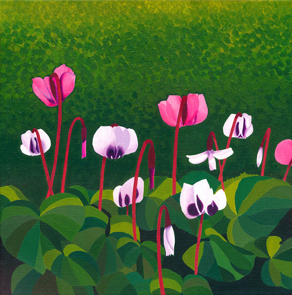 Cyclamen - Signed Edition Print