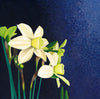 Daffodils Polar Hunter - Signed Edition Print