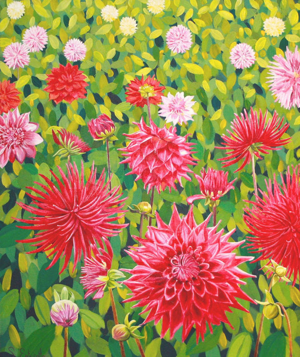 Field of Dahlias-Susan Entwistle