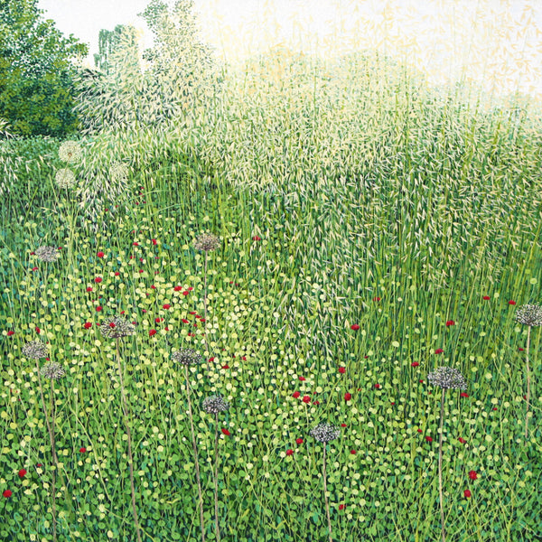 Harlow Carr Grasses card