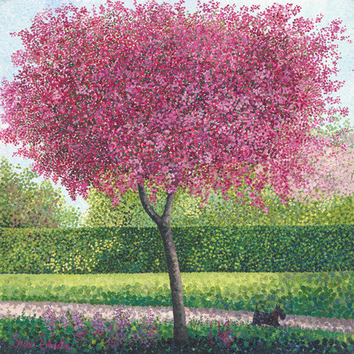 blossom tree 