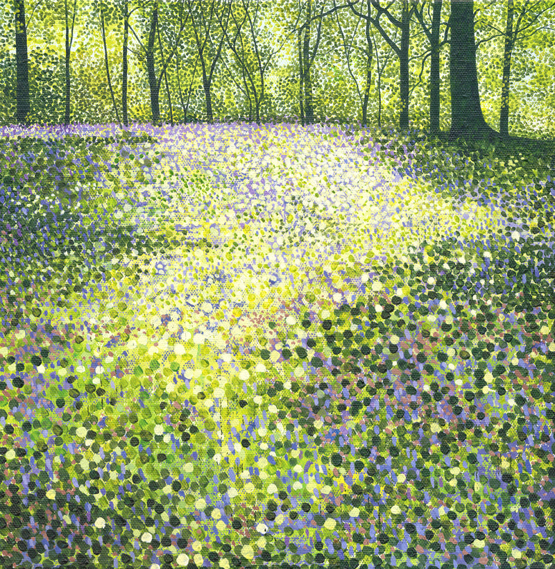 Little Wix Bluebell Wood - SOLD