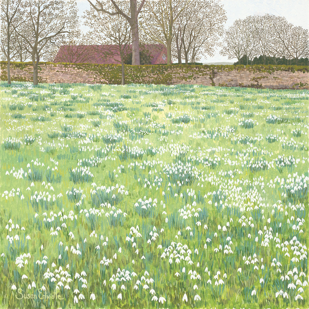 Snowdrops - limited edition print