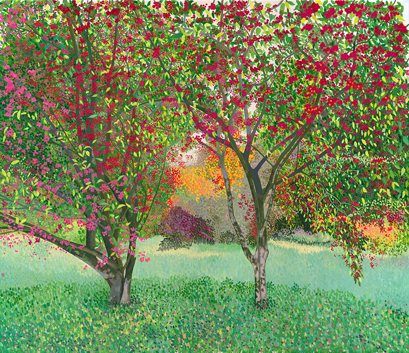 Spindle Trees