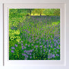 Camassia Meadow - Signed Edition Print