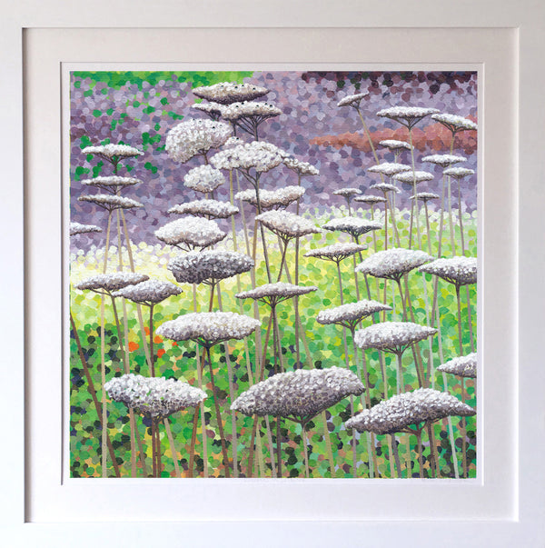 Frost on Seedheads Signed Edition Print