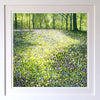 Through the Bluebells Signed Edition Print