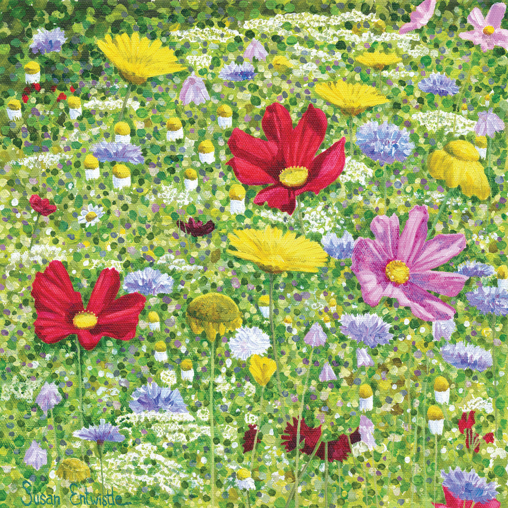 Wildflower Meadow card