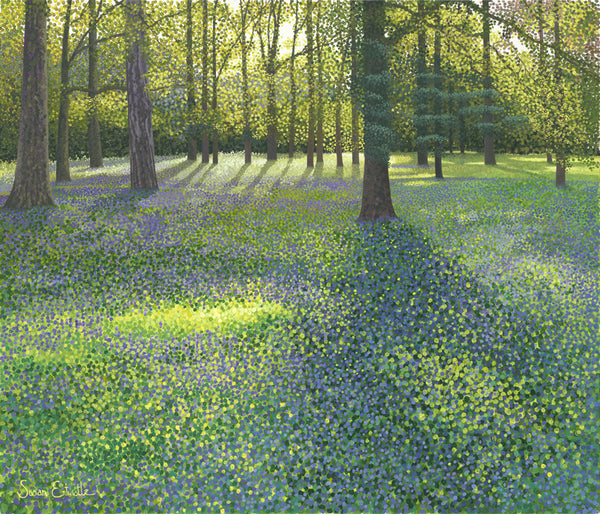 Bluebells at Wisley SOLD
